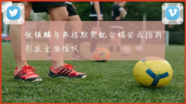 张镇麟与弗格默契配合锡安式挡拆引发全场惊叹